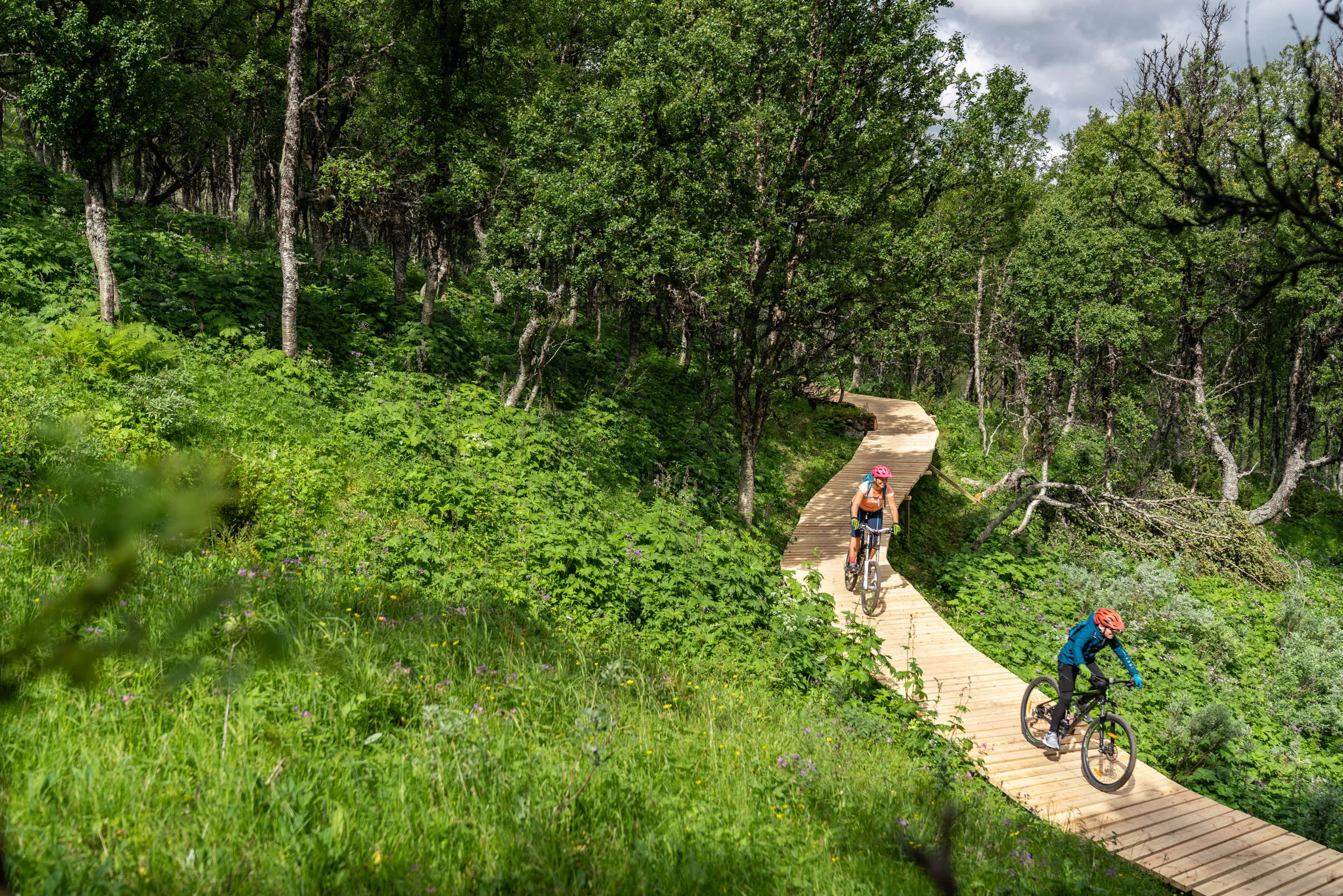 Bilden visar två cyklister som åker i Tänndalens Fjällcykelpark