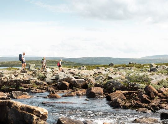 Bilden visar tre människor som är ute i det vackra sommarvädret och vandrar i Geilo, Norge.