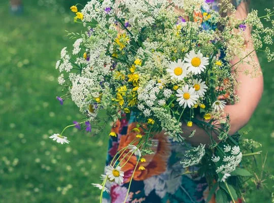 Bilden visar en midsommarbukett