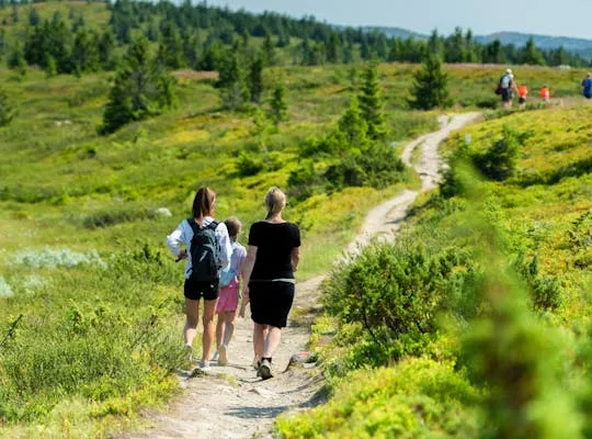 Bilden visar en familj som vandrar i Hafjell