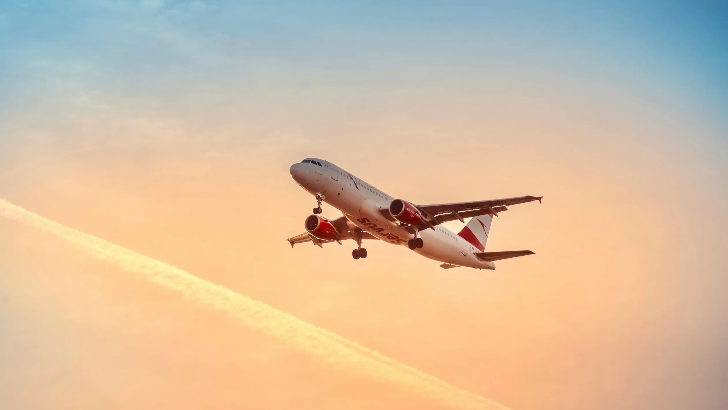 Bilden visar ett flygplan i luften
