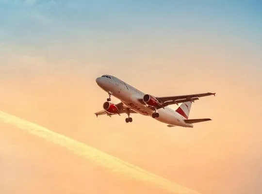 Bilden visar ett flygplan i luften